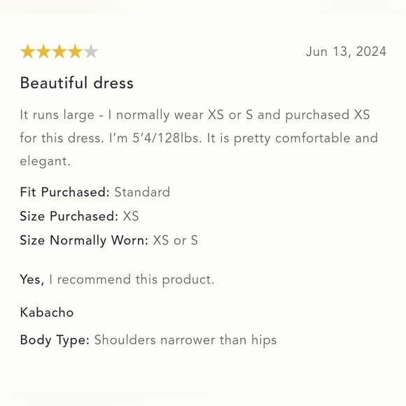 NWT ANTHROPOLOGIE | Pilcro Seamed V-Neck Mesh Dress - Picture 6 of 7